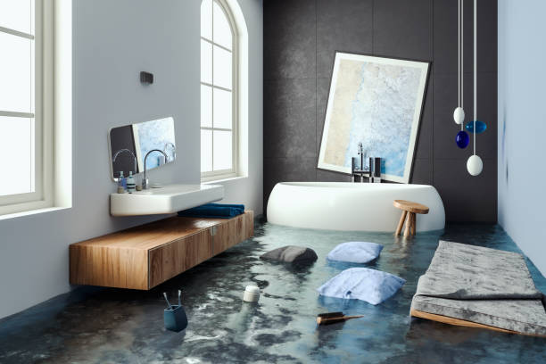 Best Water damage restoration mold remediation  in Gower, MO