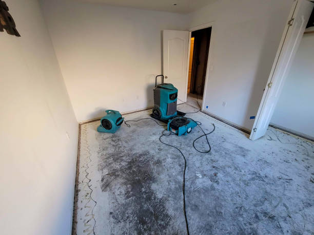 Best Water damage restoration near me  in Gower, MO