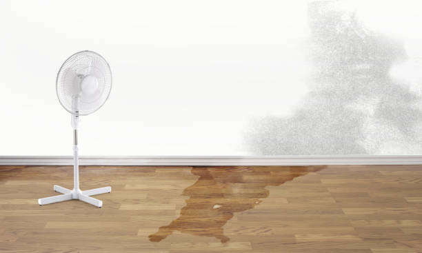 Best Emergency water damage restoration  in Gower, MO