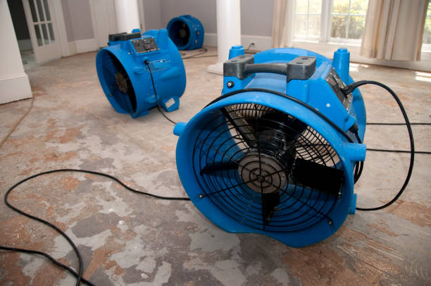Best Basement water damage restoration  in Gower, MO
