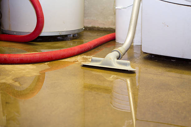 Best Professional water damage repair  in Gower, MO