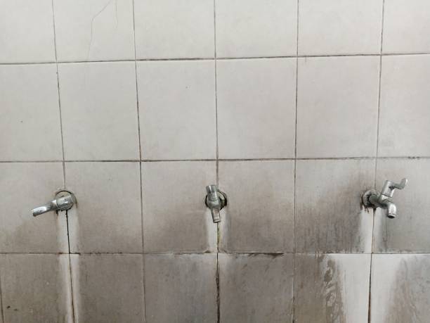 Best Sewage cleanup and water damage restoration  in Gower, MO