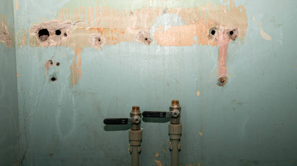 Best Water damage restoration cost  in Gower, MO